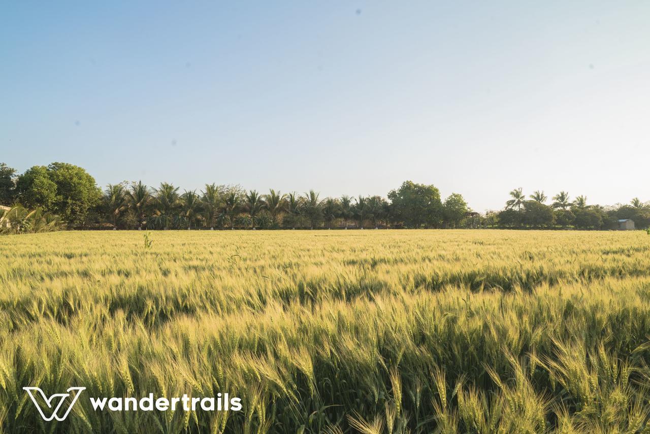 Lookout Villa - A Wandertrails Stay Sasan Gir Exterior photo